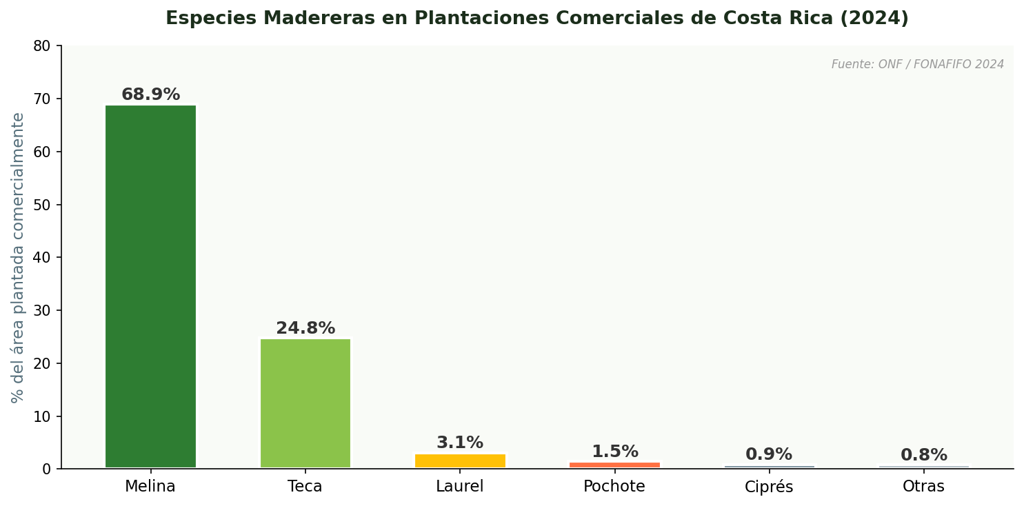 Especies madereras Costa Rica 2024