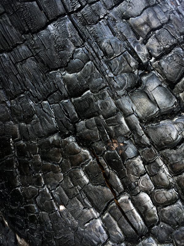 Textura de madera carbonizada estilo Shou Sugi Ban — tratamiento ancestral japonés