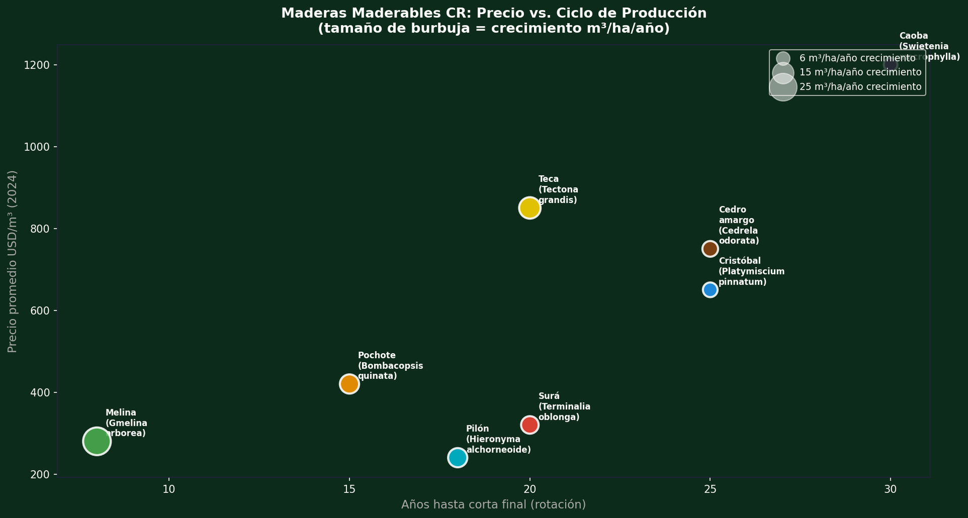 Precio vs ciclo de rotación por especie forestal