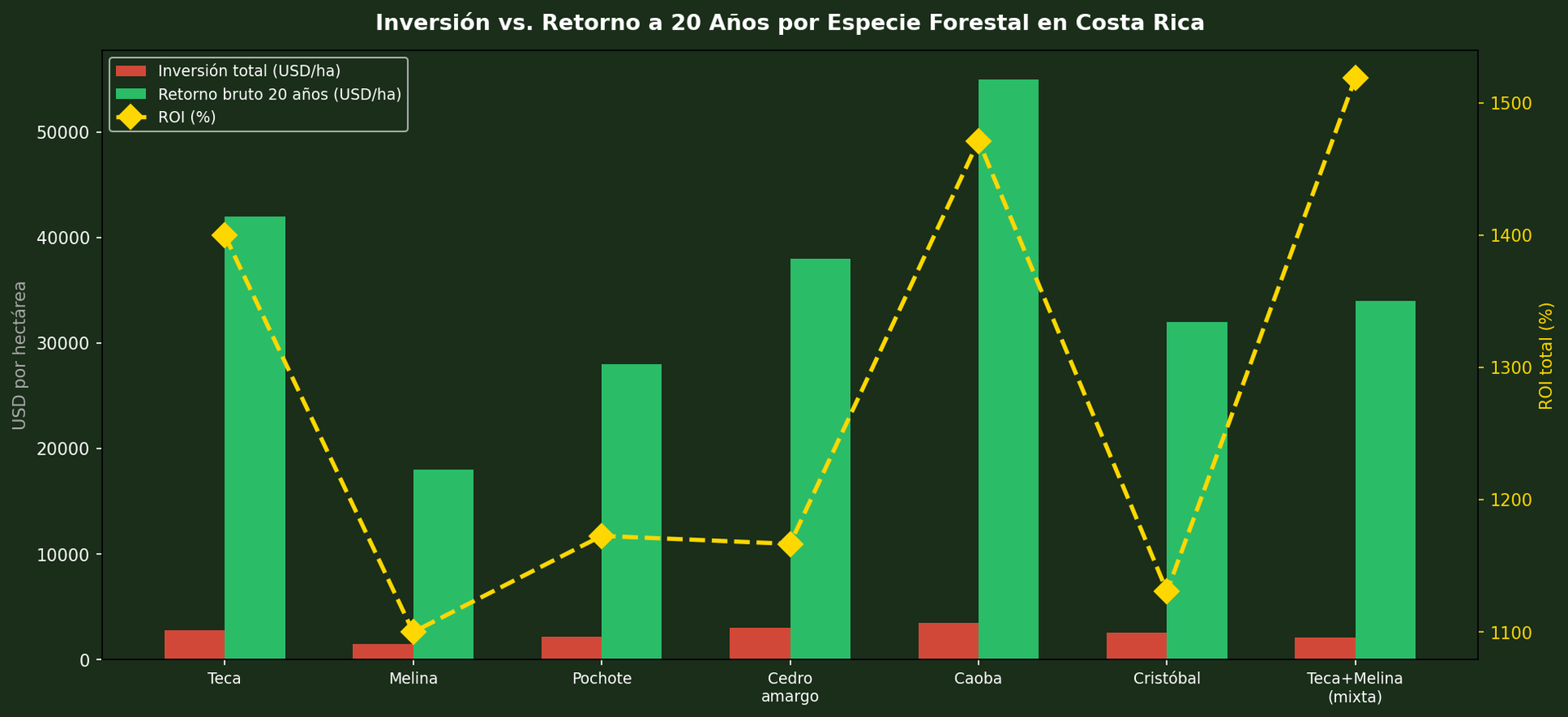 ROI inversión vs retorno a 20 años por especie forestal