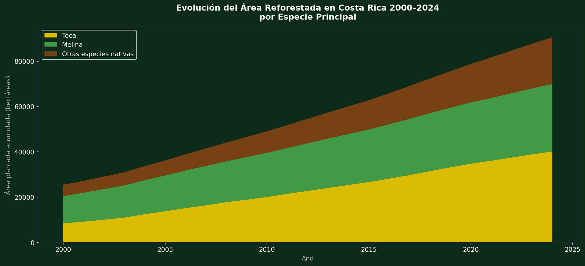 Evolución del área reforestada en Costa Rica 2000–2024