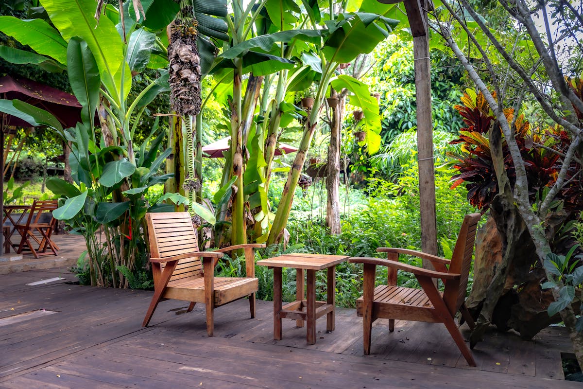 Muebles de madera tropical en jardín con bananeros