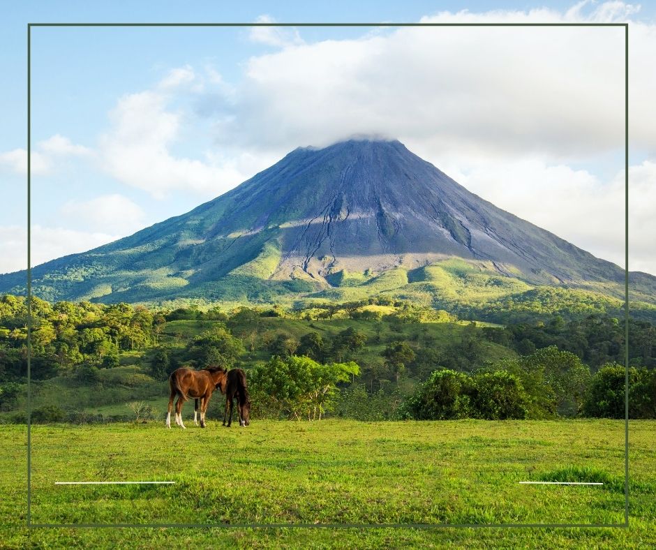 Descubre la belleza oculta de Costa Rica: Los árboles endémicos que sólo encontrarás aquí