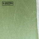 Chapa de madera teñida natural 250 cm x 21 cm: Color: Verde